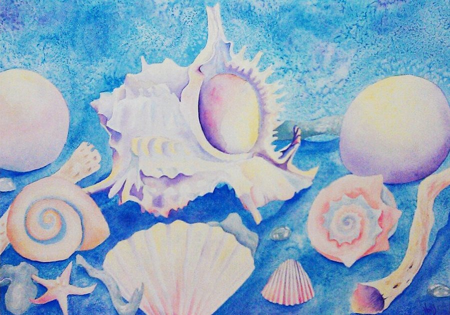 900x629 Seashells Watercolor Painting By Nimily