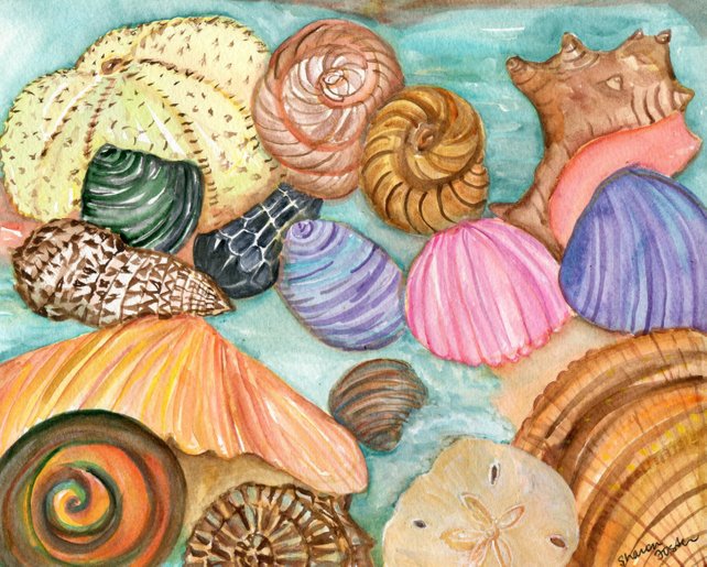 642x515 Shells Watercolor Painting Original Seashells Painting 8 X Etsy