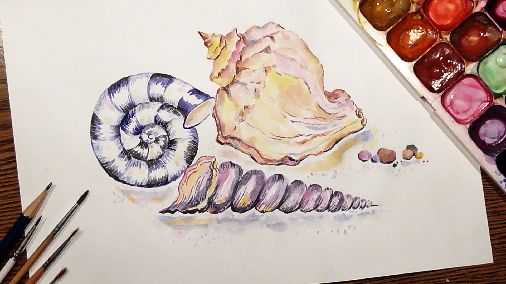 1920x1080 Speed Painting Seashells Watercolor Iotn