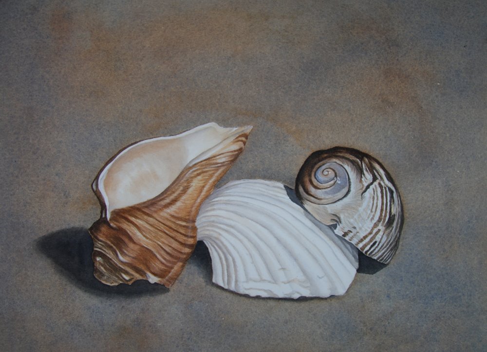 1000x724 Tracey Costescu