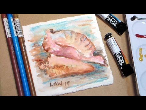 480x360 Watercolor Seashell {Conch Shell} Painting Tutorial Easy!
