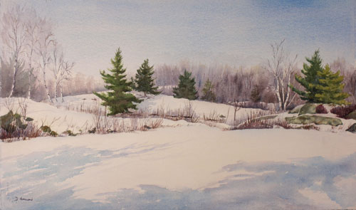 500x295 Featured Paintings By Debbie Homewood, Canadian Watercolor Artist