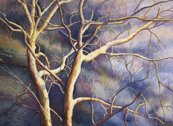 570x417 Sycamore Tree Stormy Sky Watercolor Painting Print By Cathy Etsy