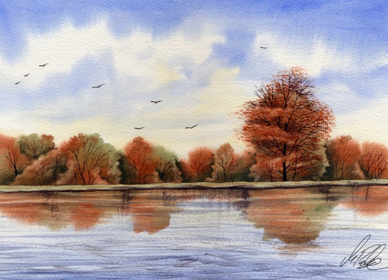 800x578 Watercolour Tutorial Dvd Painting Skies, Trees And Water