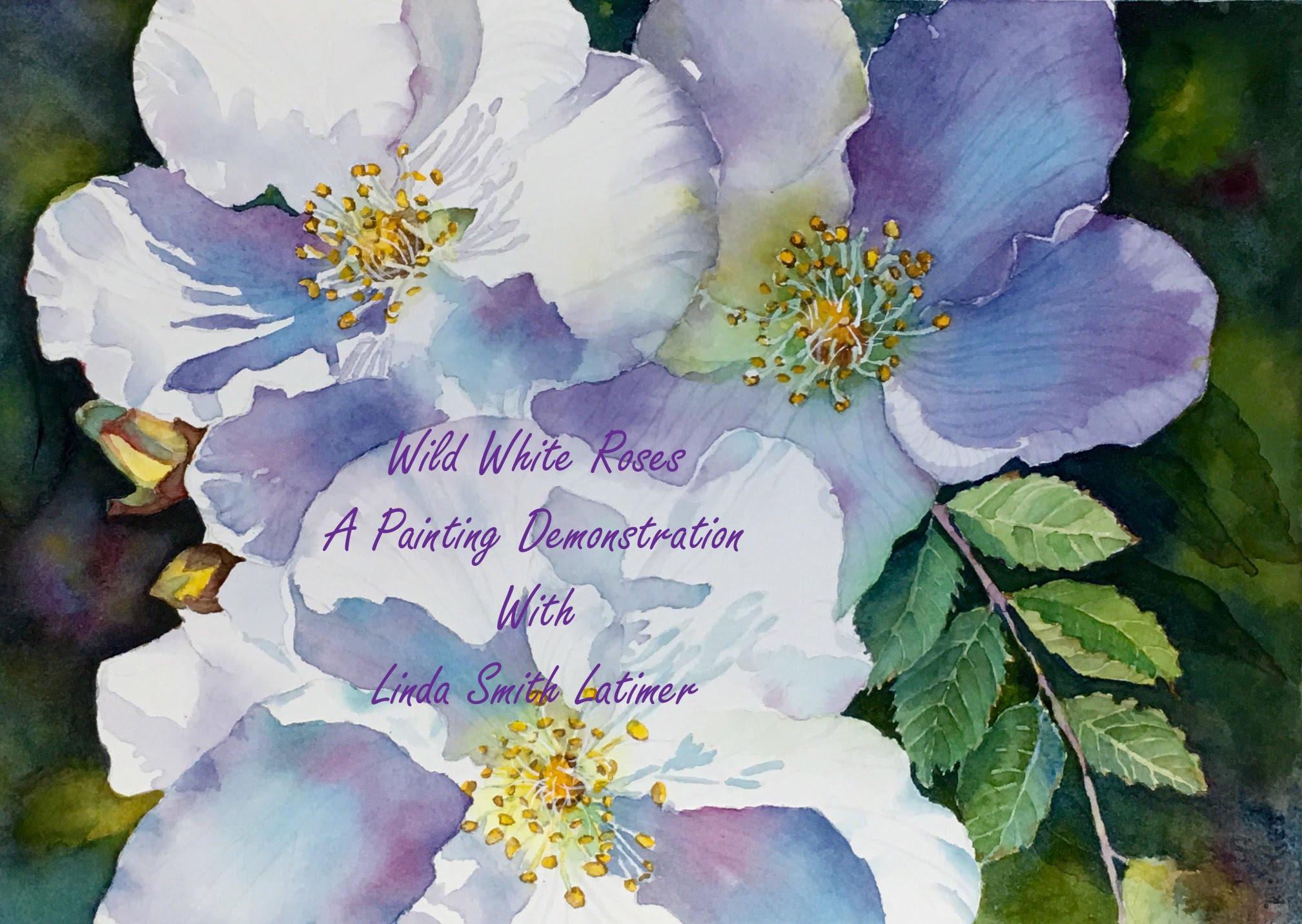 2017x1432 Wild White Roses Part One