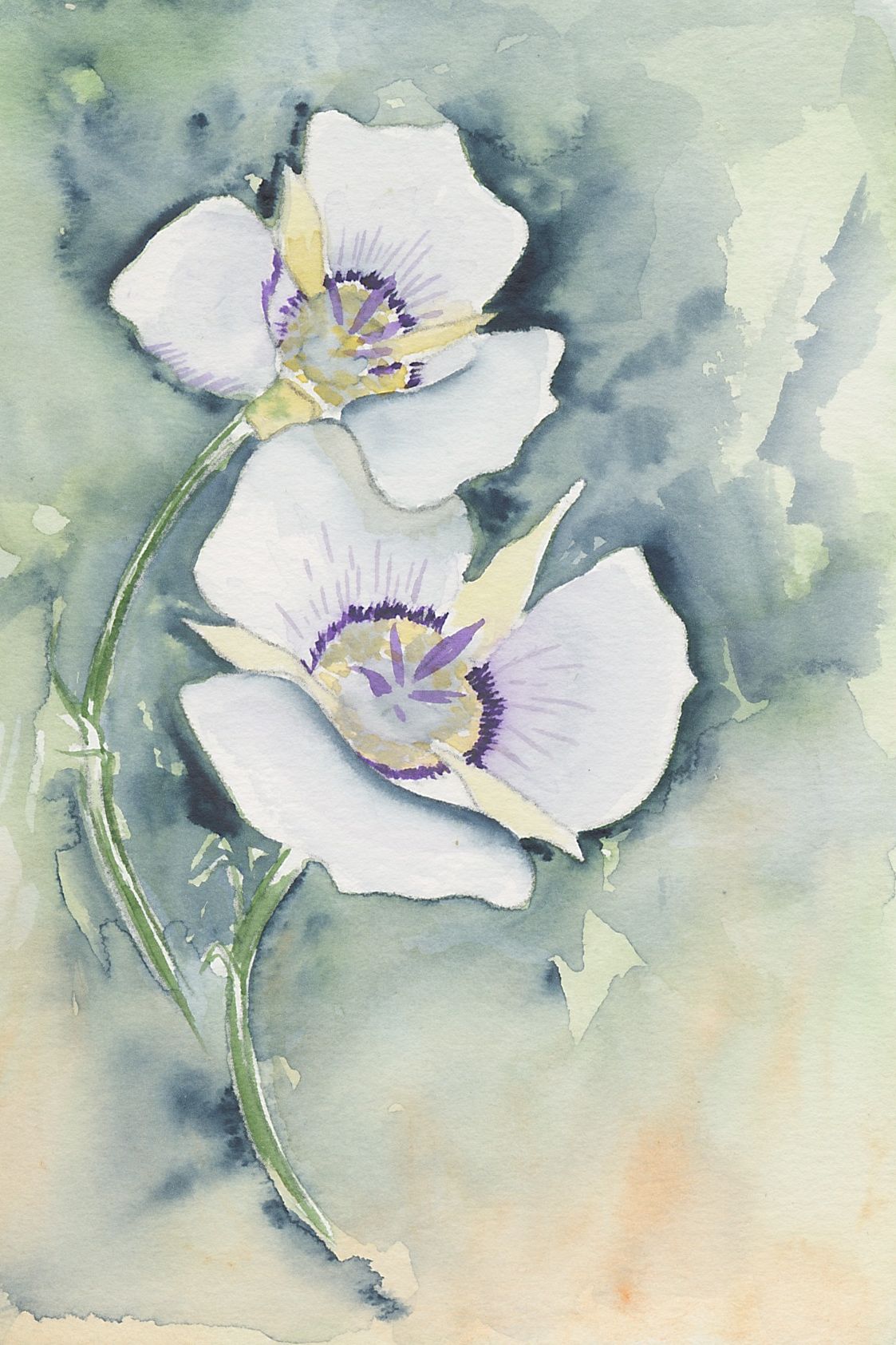 1123x1685 White Flower Watercolors Nova Arts Group