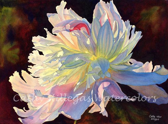 570x420 White Flowers Watercolor Painting Cathy