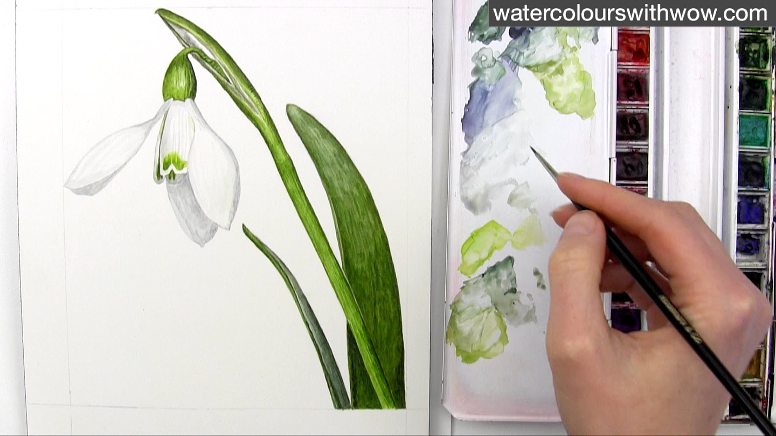 2560x1440 How To Paint A Realistic White Snowdrop Flower In Watercolor By