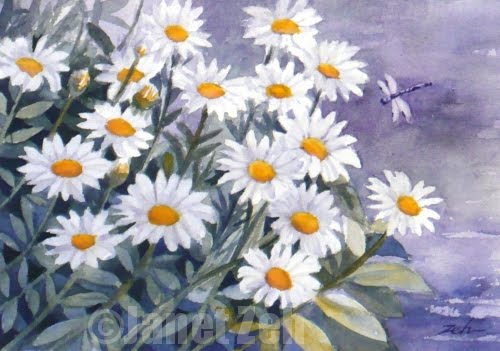 500x351 Zeh Original Art Blog Watercolor And Oil Paintings Daisies And