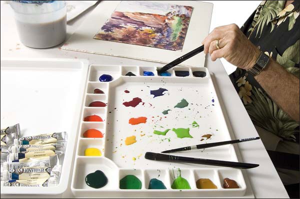 600x399 Tom Jones Watercolor Palette