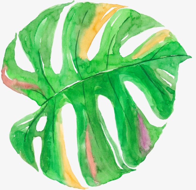 650x630 Watercolor Palm Leaf, Watercolor Clipart, Watercolor, Palm Leaves