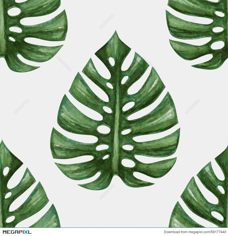 800x830 Watercolor Tropical Palm Leaves Seamless Pattern Illustration