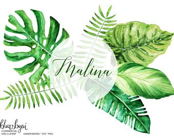 340x270 Watercolor Palm Leaf Etsy