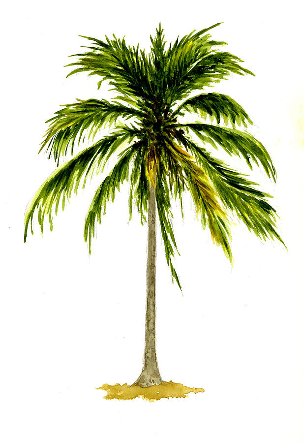 618x900 Palm Tree Number 2 Painting By Michael Vigliotti