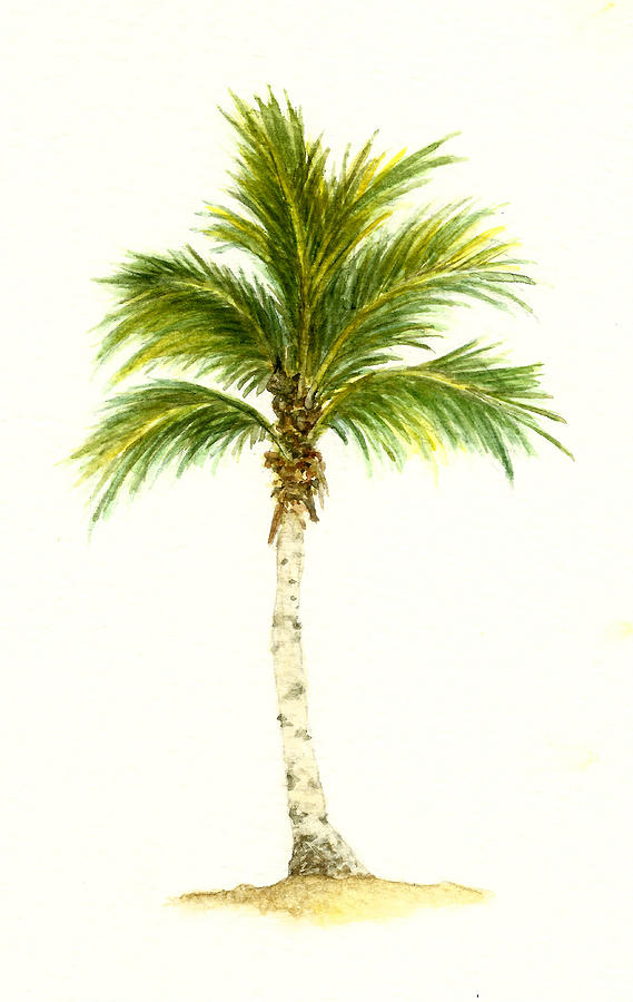 569x900 Palm Tree Number 3 Painting By Michael Vigliotti