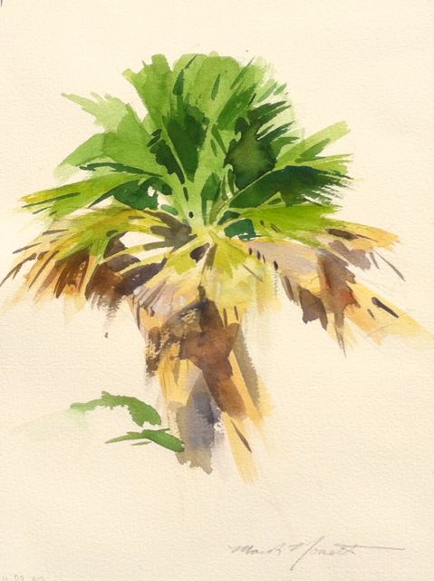 479x640 Palm Tree Study In Watercolor Mark Norseth Fine Paintings