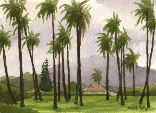 530x386 Plein Air, Through The Coconut Palms