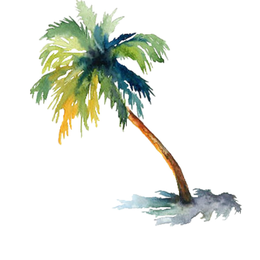 900x900 Watercolor Painting Arecaceae Drawing Tree