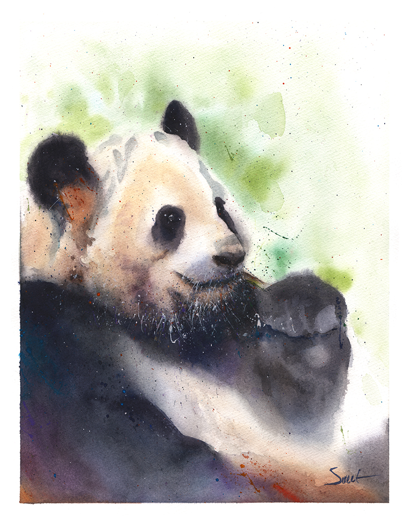800x1018 Giant Panda Watercolor Original Painting Watercolor Animal Paintings