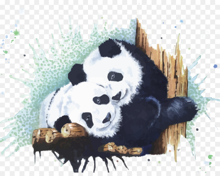 900x720 Giant Panda Watercolor Painting Euclidean Vector