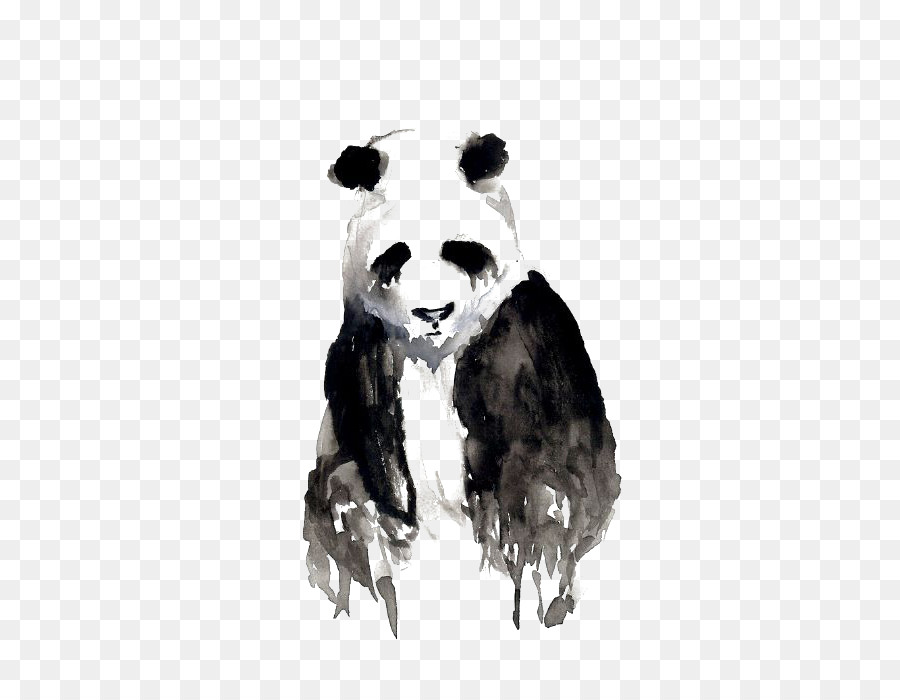 900x700 Giant Panda Watercolor Painting Oogway Drawing Art