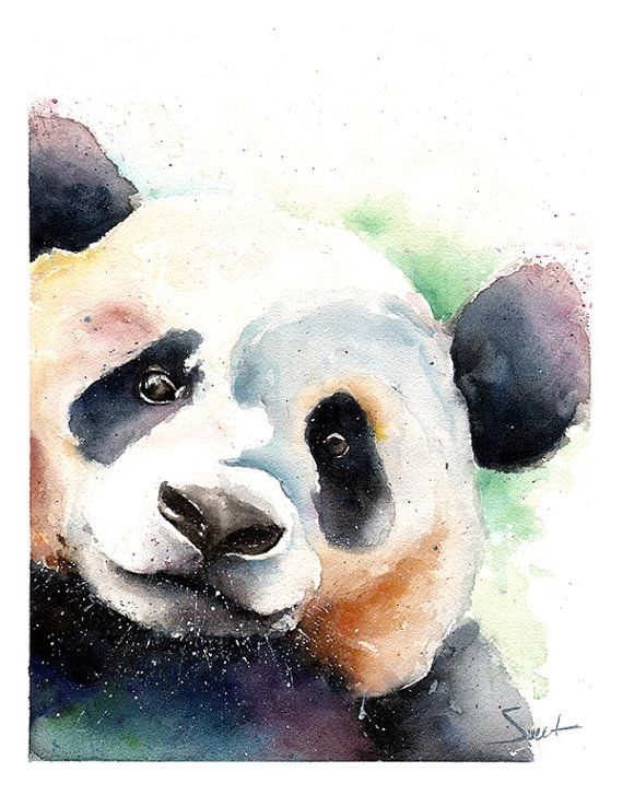 570x727 Panda Bear Painting Watercolor Panda Original By Signedsweet