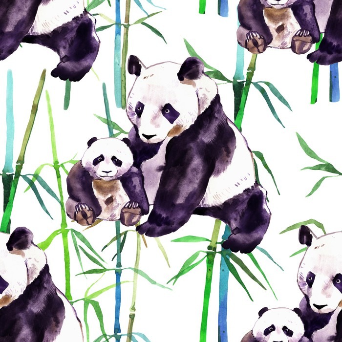 700x700 Panda Watercolor. Panda Bear And Baby Bear. Panda Bear Watercolor