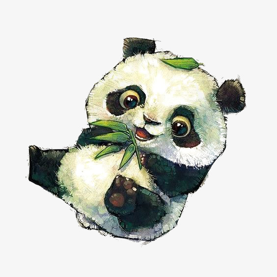 564x564 Watercolor Panda, Watercolor Clipart, Panda Clipart, Hand Painted