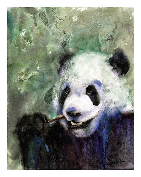 570x714 Panda Watercolor Painting Panda Art Print Giant Panda Bear Etsy