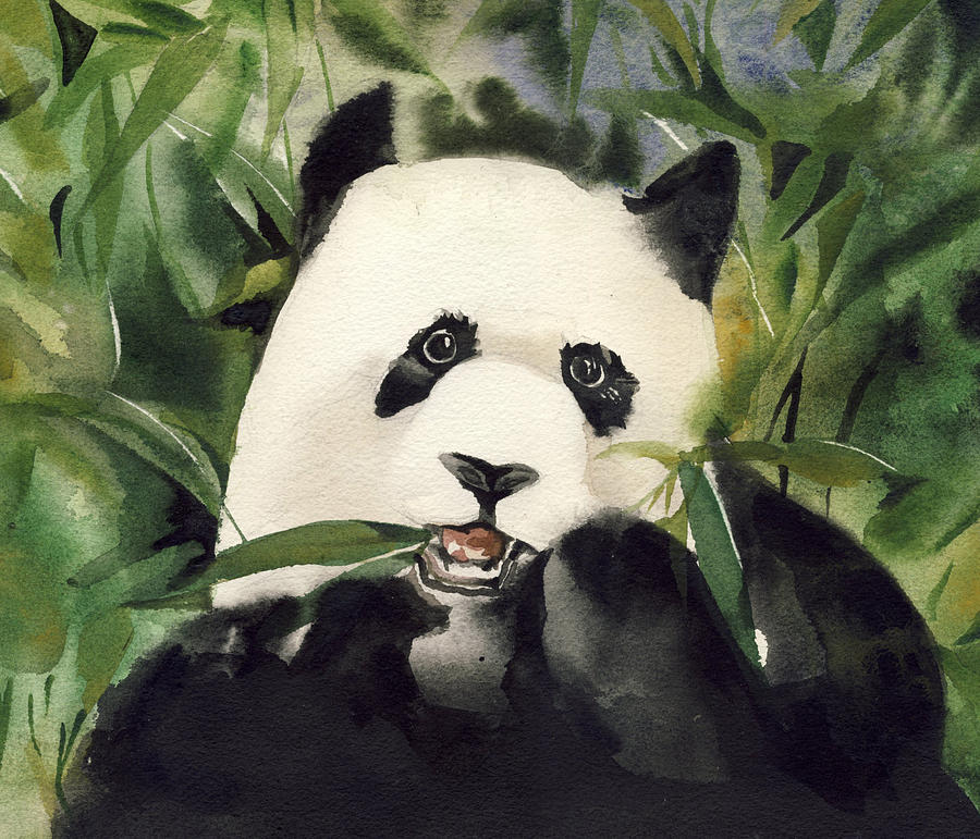 900x771 Panda Watercolor Painting By Alfred Ng