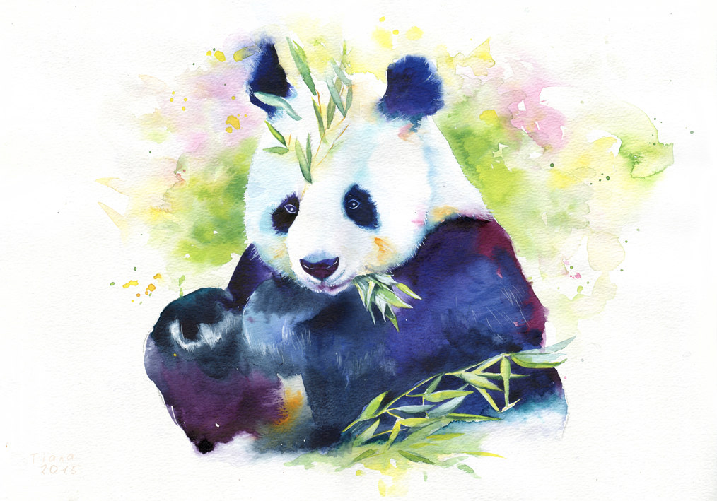 1014x709 Panda By Cora Tiana