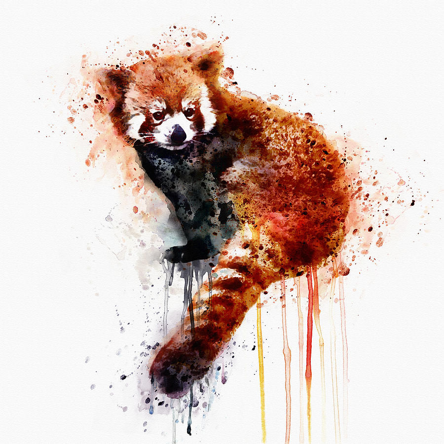 900x900 Red Panda Painting By Marian Voicu