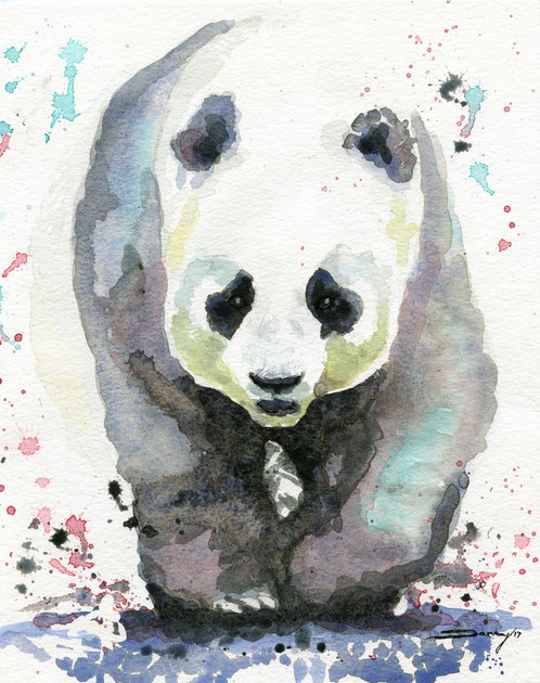 498x630 Canvas Panda Print