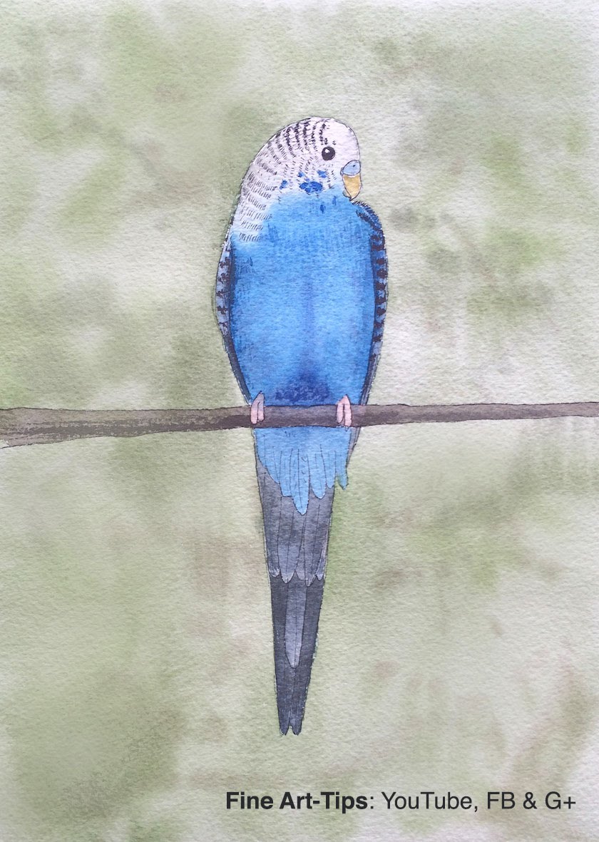 840x1181 How To Paint A Budgerigar In Watercolor
