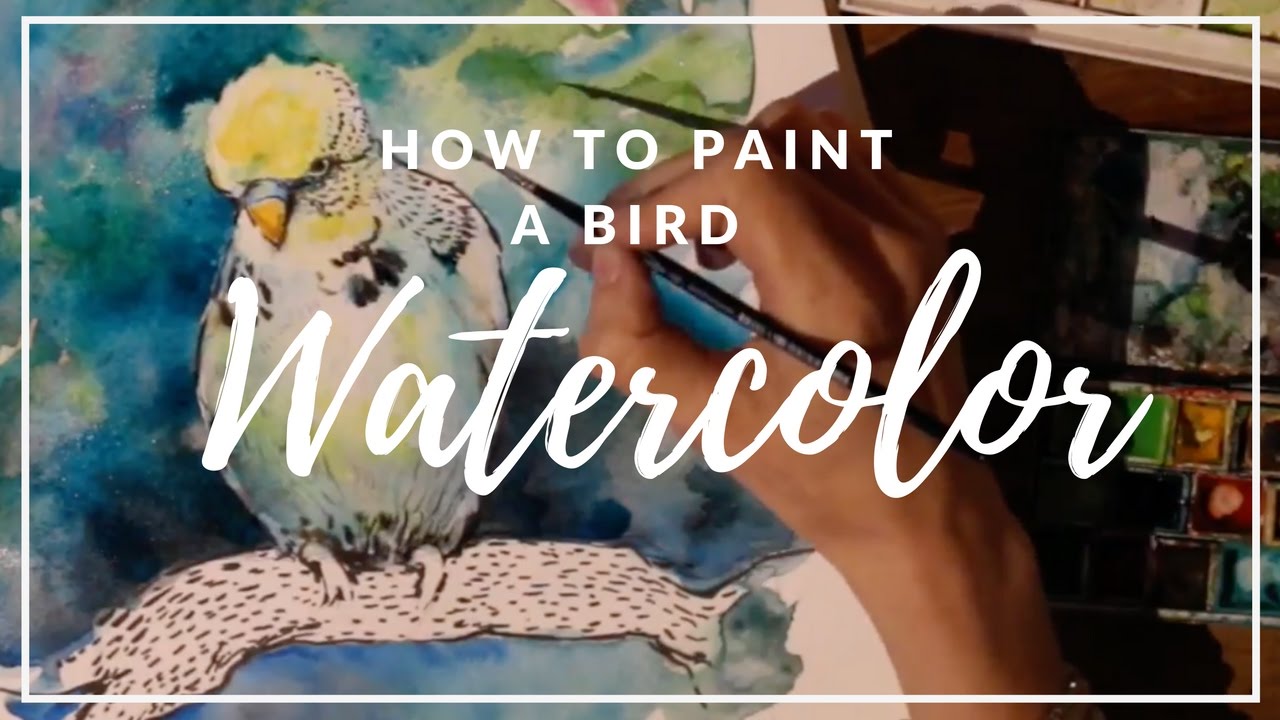 1280x720 How To Paint A Parakeet