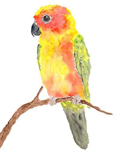 400x500 Sun Conure Watercolor Parrot Bird Painting Tropical
