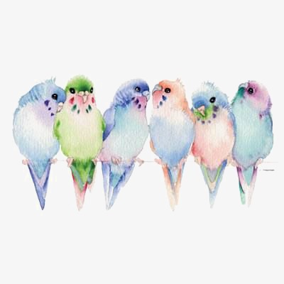 400x400 Parrot, Parrot Clipart, Hand Painted, Watercolor Png Image And