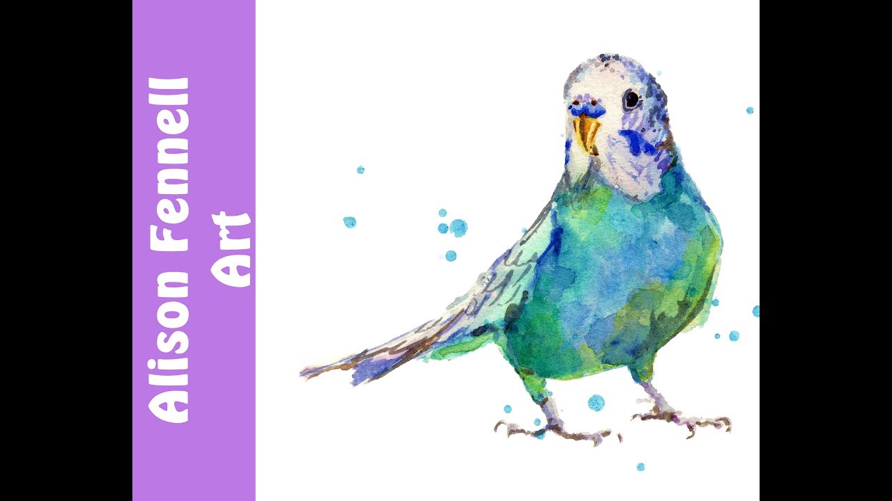 1280x720 Watercolor Budgie Tutorial