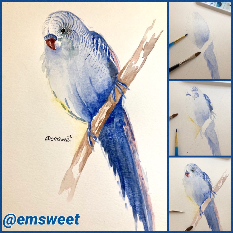 960x960 Watercolor Painting Of A Parakeet