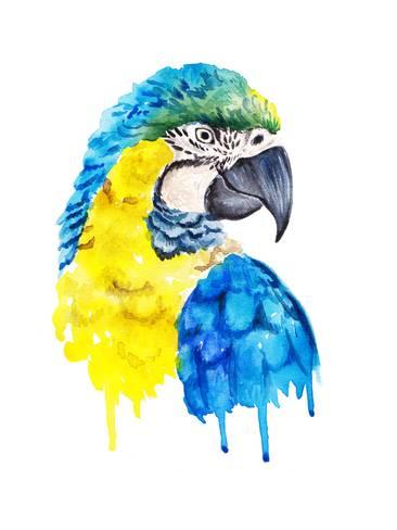 366x488 Watercolor Parrot Portrait. Posters By Maria Sem