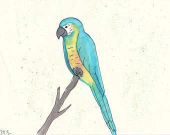 340x270 Watercolor Parrot Etsy