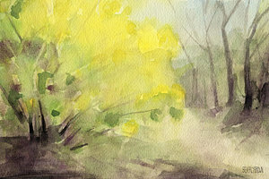 300x200 Forsythia In Central Park Watercolor Landscape Painting Painting
