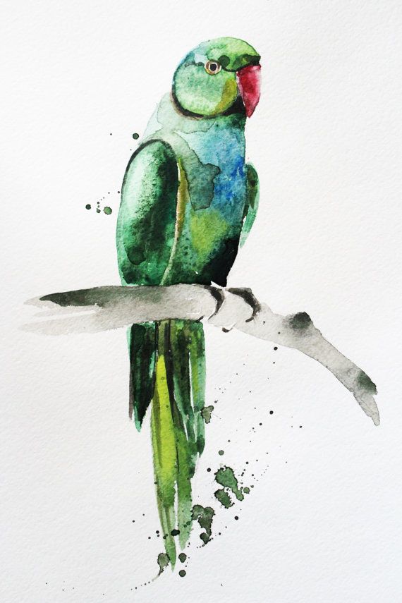 570x855 Original Watercolor Parrot, Parrot Bird Watercolor, Green Parrot