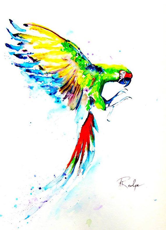 570x786 Parrot Painting