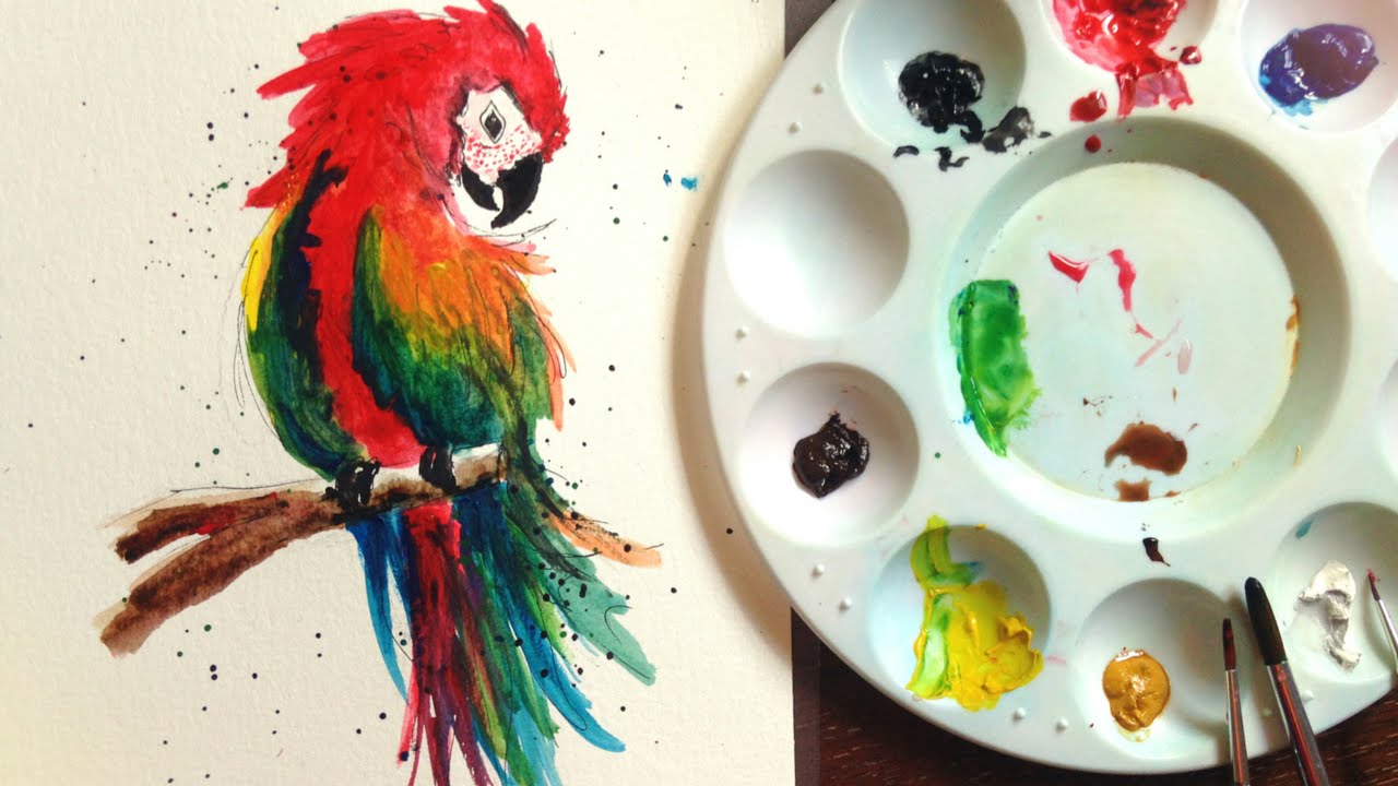 1280x720 Time Lapse Parrot Paradise Watercolour Painting