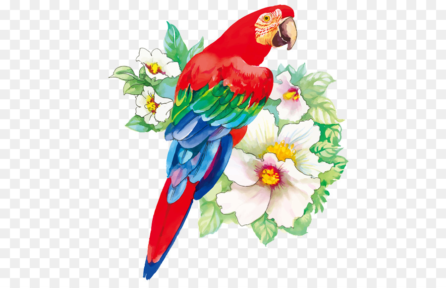 900x580 Bird Flower Drawing Watercolor Painting