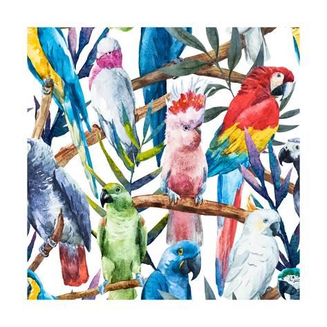 473x473 Watercolor Parrot Pattern Art By Zenina