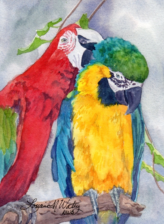527x717 Watercolor Reflections Watercolor Study For Parrot Painting