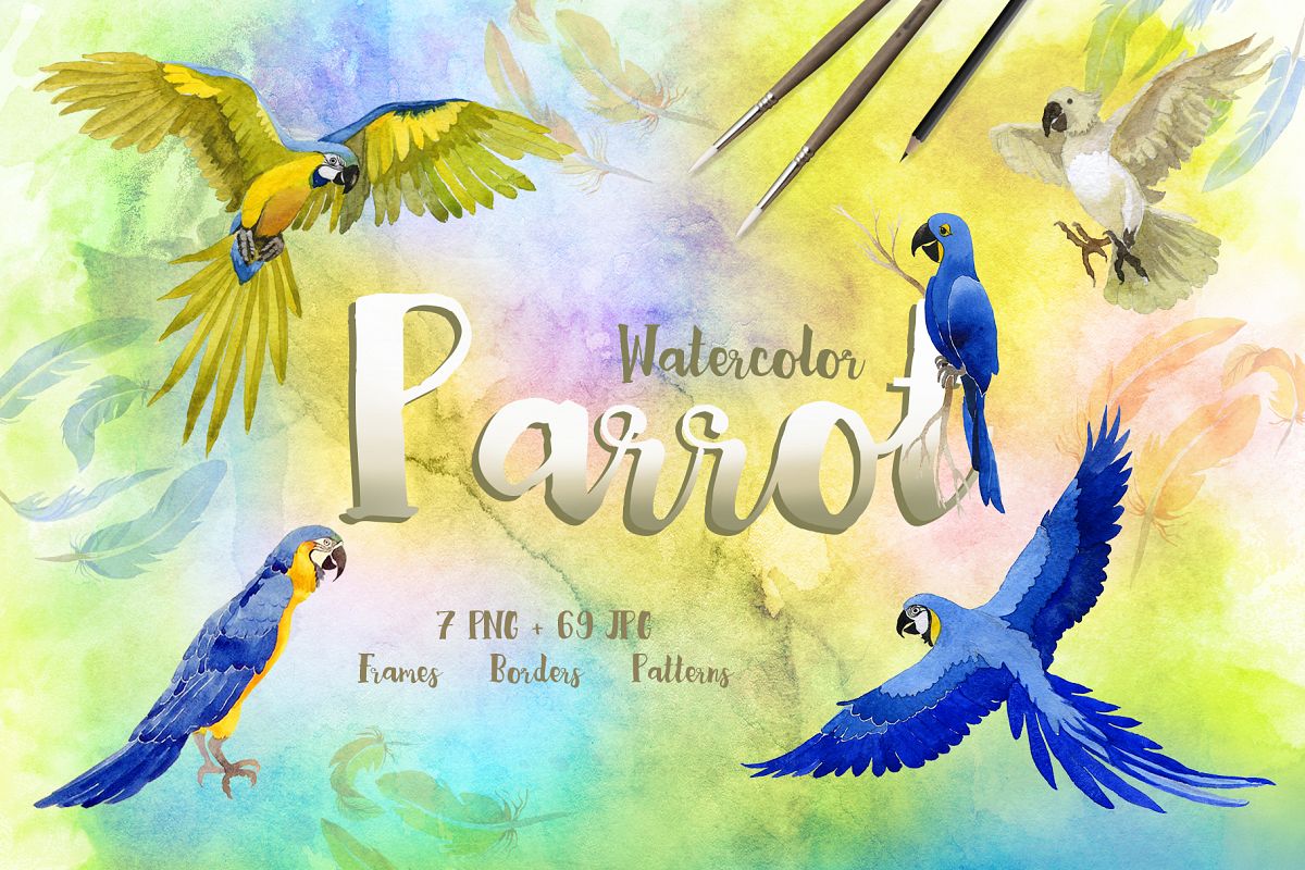 1200x800 Watercolor Cool Parrot Png Bird Set