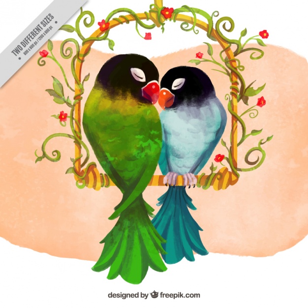 626x626 Watercolor Parrot Couple Vector Free Download